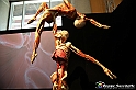 VBS_2815 - Mostra Body Worlds